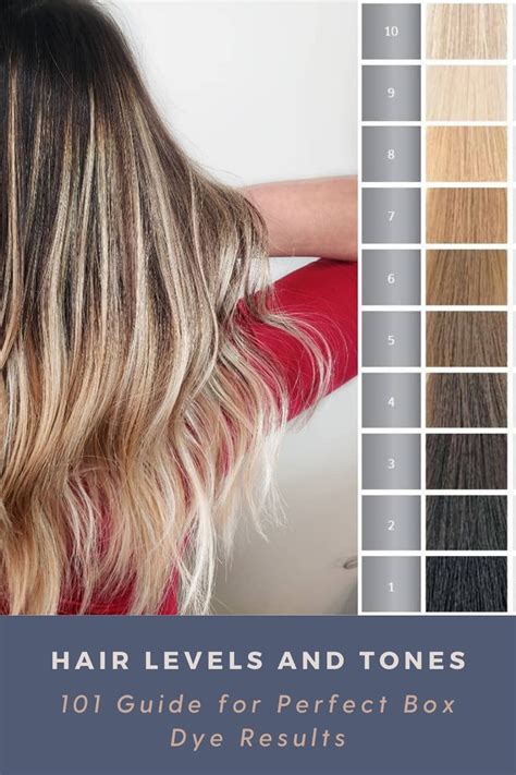 101 Hair Color Chart Guide With Levels And Tones Explained Hair Levels Hair Color Chart