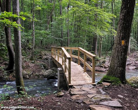 10 Of The Best Hiking Trails At Ohiopyle State Park