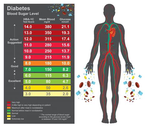 How To Use Average Blood Glucose To Estimate Hba1c Diabetes Daily