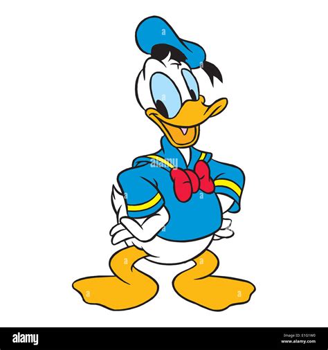 Donald Duck Illustration Hi Res Stock Photography And Images Alamy