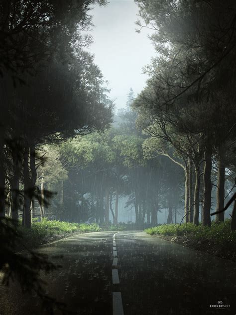 Rainy Forrest Full Cgi On Behance Night Forest Forest Road Forest