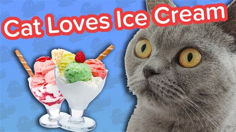 Cat Eating Ice Cream And Meowing Dogs Funny Animal