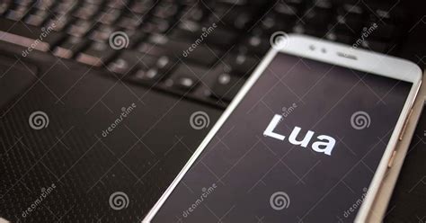 Lua#1 Lua Scripting for using with FEMM in Application to motor design