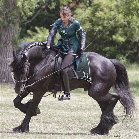 Friesian Horse Show A Photo On Flickriver Show Horses Horses