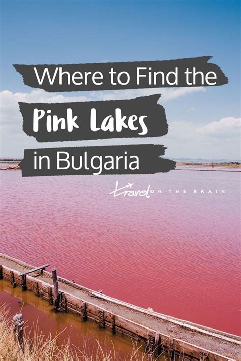 Black Sea Salt And Pink Lakes In Burgas Bulgarias Lake Atanasovsko