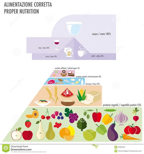 Pyramid Food Stock Vector Illustration Of Chain Citrus 55328100