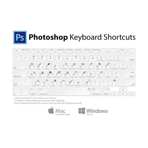 Adobe Photoshop Keyboard Shortcuts MCQ 500 Adobe Photoshop MCQ