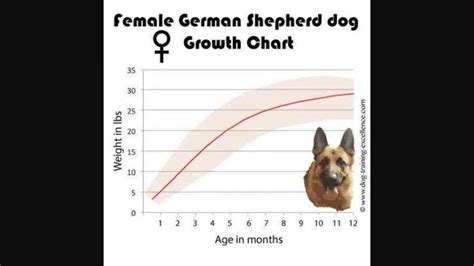 German Shepherd Growth Chart The Farmstore Pets And Feed Store Near