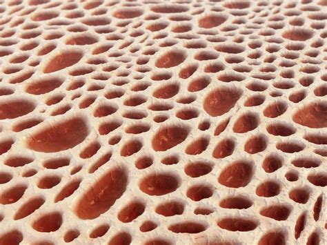 Scientists Discover Why You Really Have Trypophobia