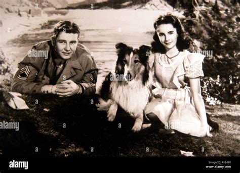 Courage Of Lassie Year 1946 Director Fred M Wilcox Elizabeth Taylor