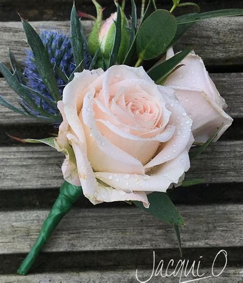Sweet Avalanche Rose Thistle And Eucalyptus Buttonhole Wedding