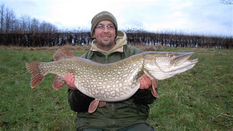 A Specialist Anglers Diary Chew Valley Reservoir Pike Fishing The