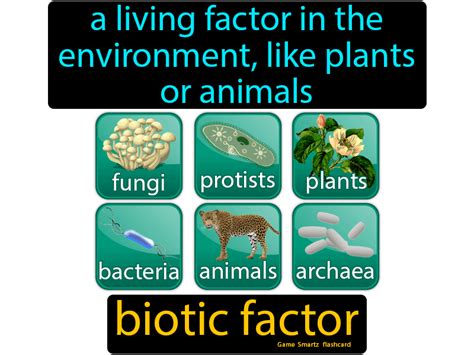 Biotic Factor Easy Science Biotic Flashcards Science