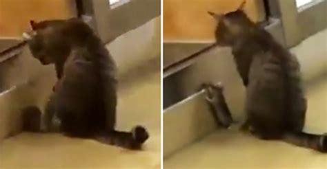 Real Life Tom And Jerry Are Spotted In A Subway — And Theyre Up To No