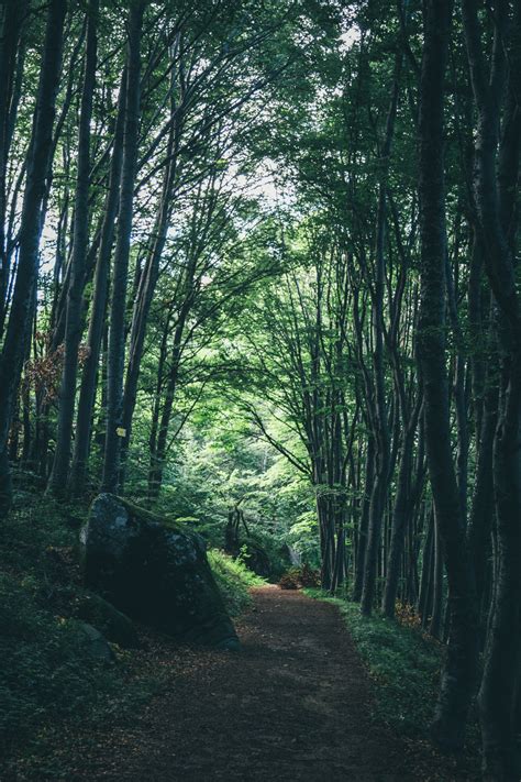 alxiuss:instagram | flickr - Tumblr Pics
