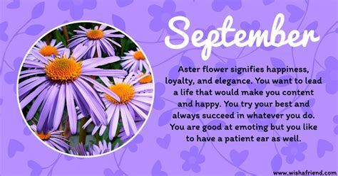 September Flower Of The Month Images Christian Pollock