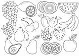 Frutta Colorat Fructe Baies Früchte Desene Frutte Bacche Legume Copiare Piccola Totul Mame Toamna Planse sketch template