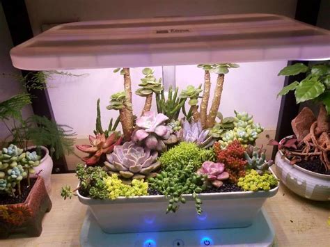 There are thousands of different grow lights for indoor plants. LED Grow Light System and Control Base Perfect for ...