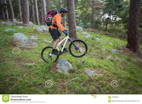 Male Mountain Biker Riding Bicycle In The Forest Stock Photo Image Of