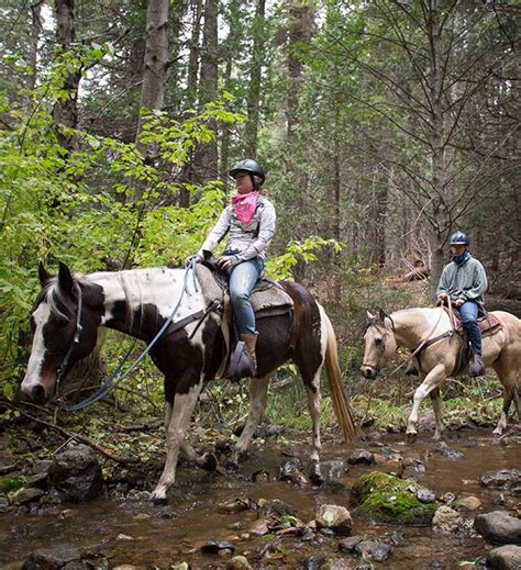 Things To Do At Tenaya Lodge Near Yosemite Horseback Riding