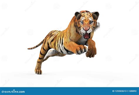 Tigre De Bengala Con La Trayectoria De Recortes Stock de ilustración