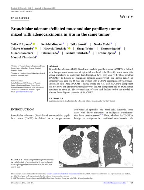 Pdf Bronchiolar Adenomaciliated Muconodular Papillary Tumor Mixed