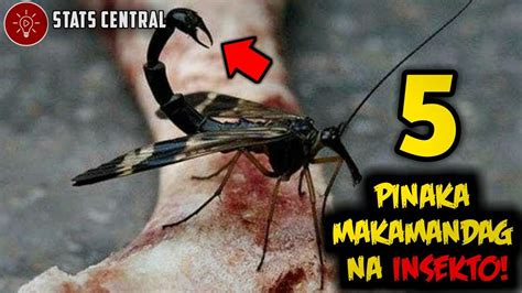 5 Pinaka Makamandag Na Insekto Sa Mundo Kaalaman Youtube