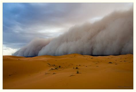 Desert Sandstorm Nature Dust Storm Drone Photography