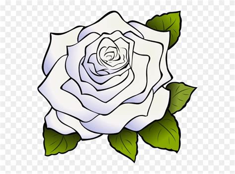 Download Download White Rose Png Clipart Clip Art Drawing Flower