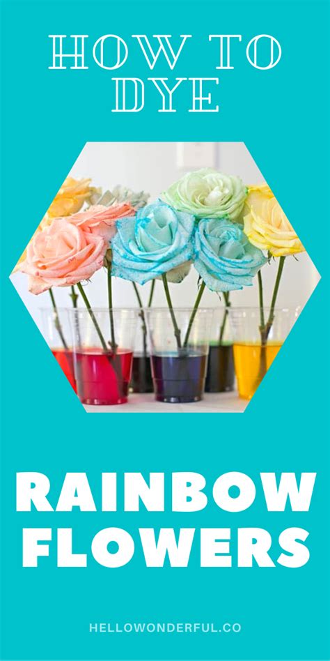How To Dye Flowers Rainbow Create Multicolored Roses Rainbow