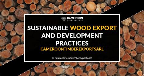 Sustainable Wood Export And Development Practices