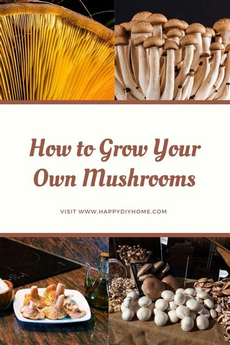 How To Grow Mushrooms At Home Grow Your Own Mushrooms Easily Happy
