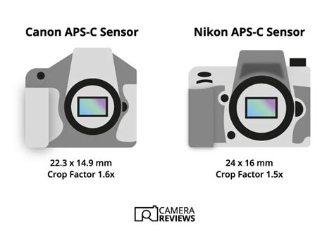 Camera Sensor Sizes And Types Compared And Explained