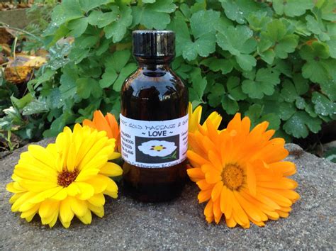 Love Massage Oil All Natural Body Oil Made In Canada Paraben Free Essential Oils Mari S
