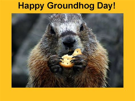 2nd Feb 2019 Happy Groundhog Day Quotes Images Wishes Whatsapp Status Dp Messages