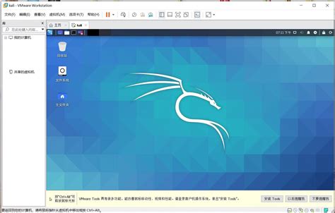 Vmware Workstation Kali Linux