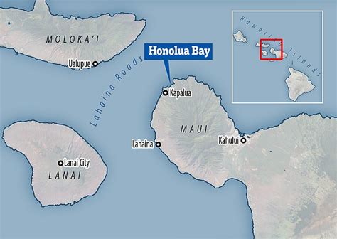 Hawaiian Surfer Dies After He Was Attacked By Shark In Honolua Bay Surfing La