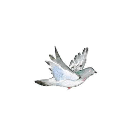 Flying Dove Animated 