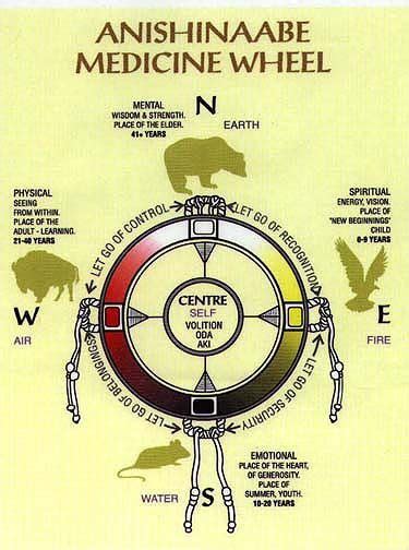 Pin By Connie Heald On Cherokee Native American Medicine Wheel
