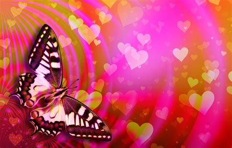 Butterfly Heart Valentines Day Wallpaper Like Wallpapers