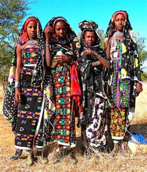 Fulani Women African Clothing Traditional Outfits African People