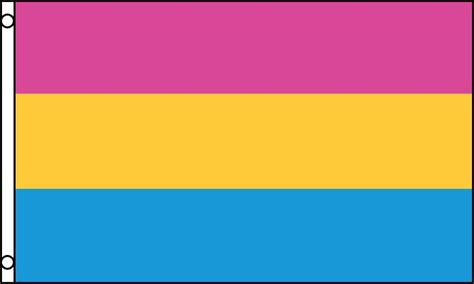 Buy Pansexual Flag Pansexual Pride Flag For Sale