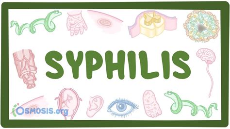 Syphilis Diagram Syphilis Sciencedirect This Is Followed By