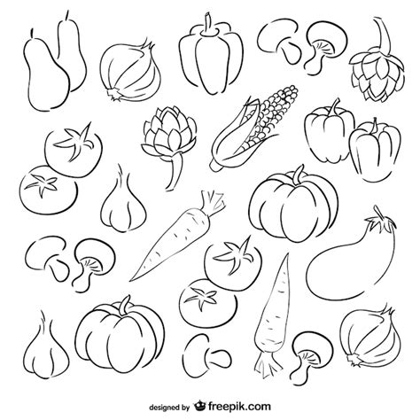 Conjunto De Dibujos De Verduras Descargar Vectores Gratis