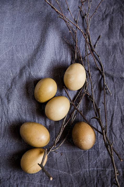 Pastel Easter Eggs Still Life By Stocksy Contributor Natasa Kukic