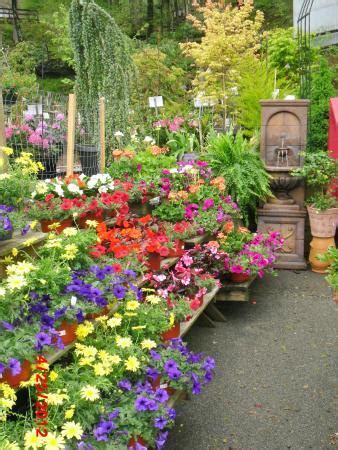 Come visit a truly unique and pleasurable shopping venue. Grandfather Mountain Nursery Garden Center (Banner Elk ...