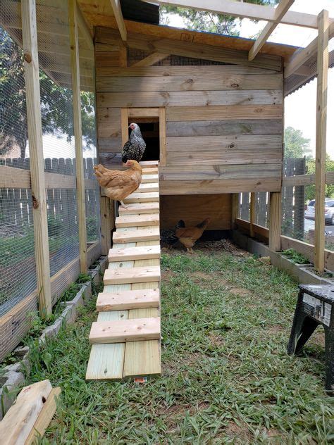 13 Coop Ramps And Ladders Ideas Coop Chicken Coop Chickens Backyard