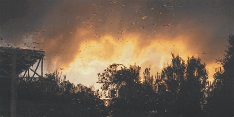 500 Forest Fire Pictures Hd Download Free Images On Unsplash