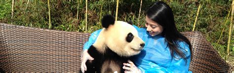 Chengdu Panda Tour Panda Volunteer Tour Panda Tours China 2018