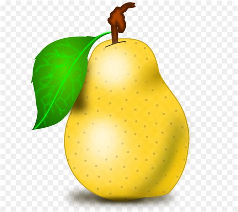 Download High Quality Fruit Clipart Pear Transparent Png Images Art